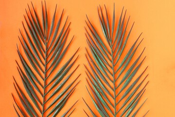 Palm tree branches on orange background. Minimal concept.