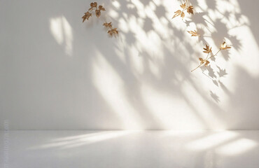 Minimalistic light background with blurred foliage shadow on a white wall. Beautiful background for presentation.
