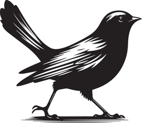 create a vector silhouette of a bird