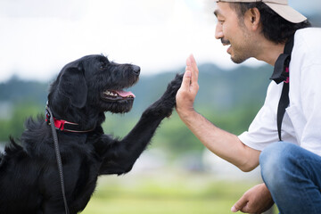犬との共生　アイコンタクトする犬と仲良しの人間　大型犬の洋犬と飼い主