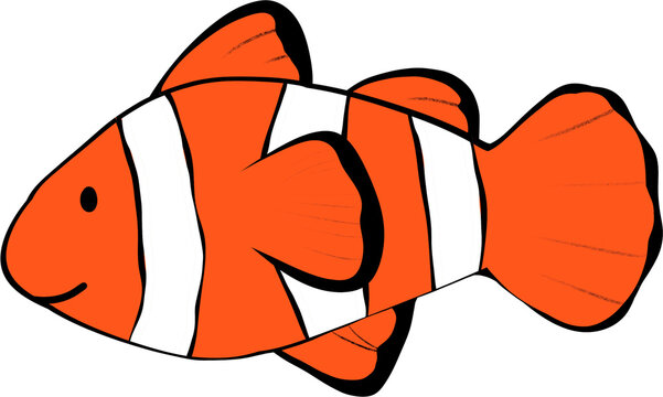 nemo fish