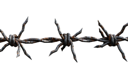 錆びた有刺鉄線、PNG