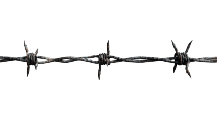 錆びた有刺鉄線、PNG
