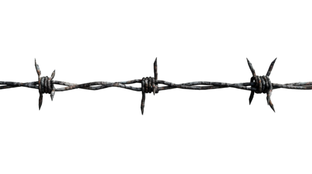 錆びた有刺鉄線、PNG