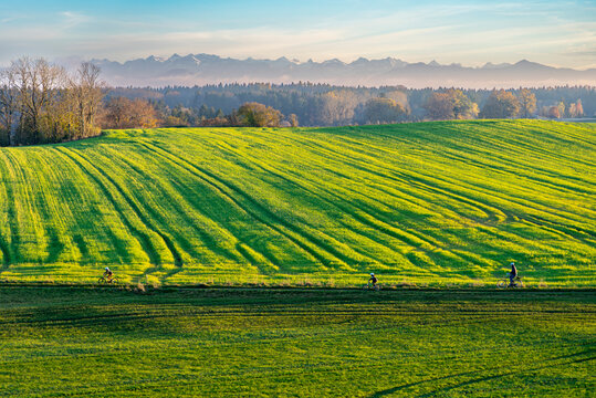 Sch&ouml;nes Alpenvorland Bayern: Familie f&auml;hrt beim Sonnenuntergang Fahrrad in der N&auml;he von Tutzing, Starnberger See auf Feld Im Gegenlicht mit Blick auf die Alpenkette
