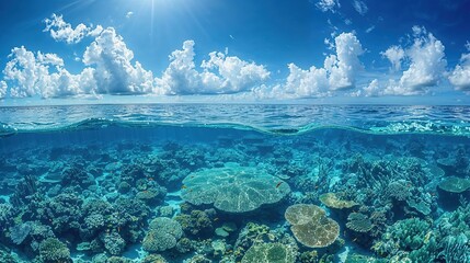 Blue ocean split view with coral reef and sky
