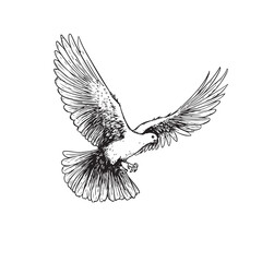 Hand drawn white dove. Flying bird in sketch pen and ink style. Peace and love symbol. Vector illustration. © Sketch Master