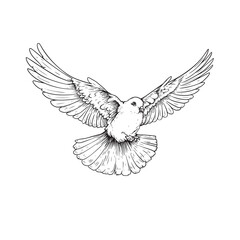 Hand drawn white dove. Flying bird in sketch pen and ink style. Peace and love symbol. Vector illustration.