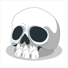 Anatomically correct human skulls set isolated. skull line art vector illustration. Human skull. Isolated on white background. Side and front views. Anatomy and medicine concept. 2258
