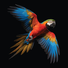 Obraz premium Portrait of a macaw parrot in flight. Color image of a blue-red macaw parrot on a black background.