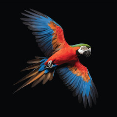 Fototapeta premium Portrait of a macaw parrot in flight. Color image of a blue-red macaw parrot on a black background.
