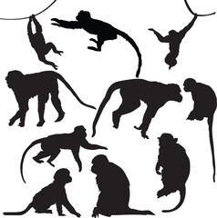 Monkey silhouette stock vector illustration