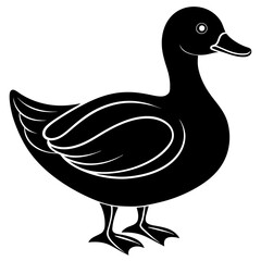        Beautiful duck silhouette vector illustration.
