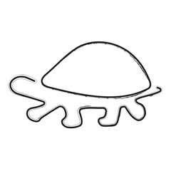 tortoise brush strokes on a white background. Vector illustration.