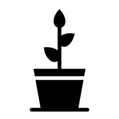 potted plant 
