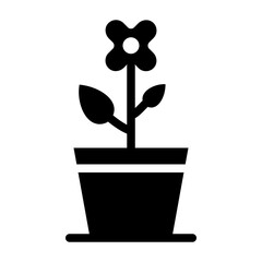 potted plant 