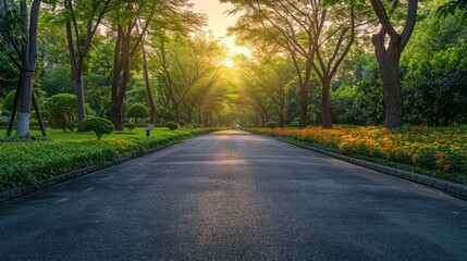 Obraz premium Empty street garden at and tarmac floor. sunrise. AI generated
