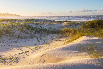 Ocean coast