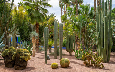 Exotic Cactus Garden Oasis - Desert Plant Display.The Majorelle Garden is known as the most...