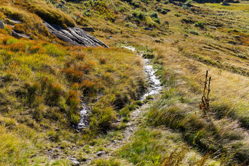 Close-up of hiking trail with stones and grass at Swiss mountain pass Gotthard on a sunny late summer day. Photo taken September 10th, 2023, Gotthard, Switzerland.
