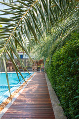 Wooden Pathway by the Poolside