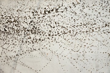 The wall is covered in holes and has a rough texture