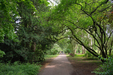 Fototapeta premium Przelewice. Polska. Ogród botaniczny. Maj 2024. 