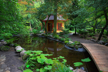 Przelewice. Polska. Ogród botaniczny. Maj 2024. Ogród japoński. © Roman Trojanowski