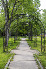 sidewalks, grass and trees in the park