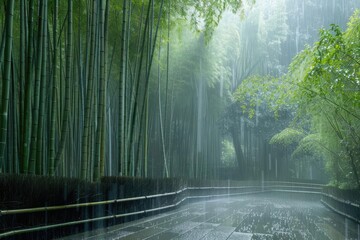 Obraz premium Serene bamboo forest with rain shower, creating a tranquil and lush green scenery. Ideal for nature and tranquility themes.