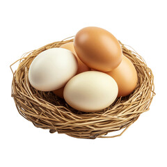 Brown and white eggs in a nest, isolated on transparent background cutout. 