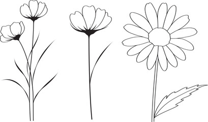 PrintWild Flower Outline Drawing Coloring Page for Kids and Adults