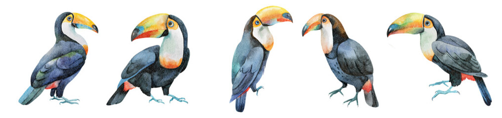 Fototapeta premium Watercolor toucans, tropical birds, summer drawing, watercolor summer clipart, toucan PNG