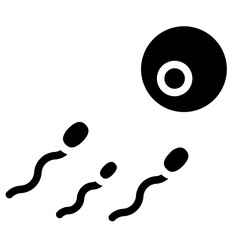 conception egg, embryo, pregnancy, sperm,