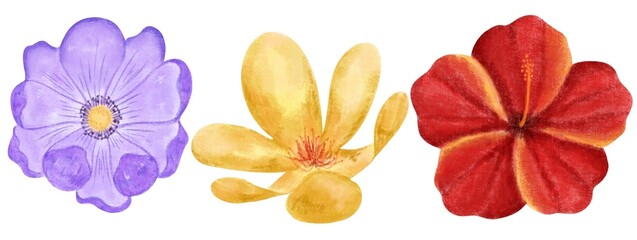 Three-season flower set, two color tones