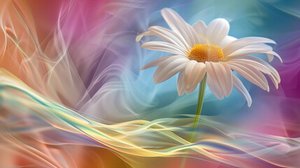 White daisy flower with colorful abstract background