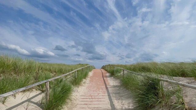 wooden path to the beach in summer 