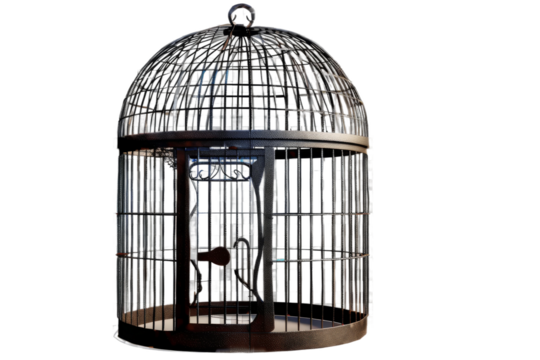 Metal Cage Illustration Isolated on Transparent Background