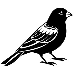 canary   silhouette vector  illustration svg