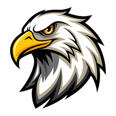 American bald eagle vector illustration