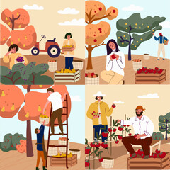 Harvest festival illustration set, flat illustration vector. Seasonal agricultural fair. Autumn harvest, summer harvest.