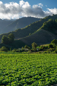 Farmland in Cerro Punta, Chiriqui,  Panama - stock photo