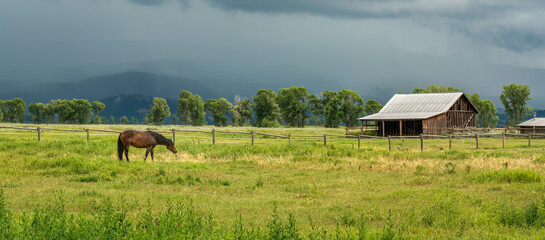 Grand Teton National Park - barn at Mormon Row with a horse in the meadow