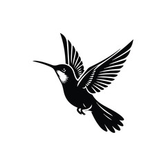 Hummingbirds Animal black silhouette vector with white color background