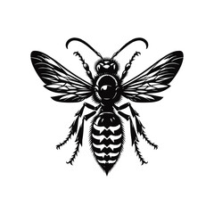Hornet Animal black silhouette vector with white color background