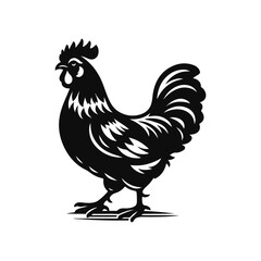 Hen Animal black silhouette vector with white color background