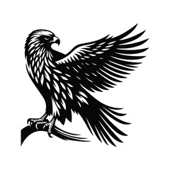 Hawk Animal black silhouette vector with white color background