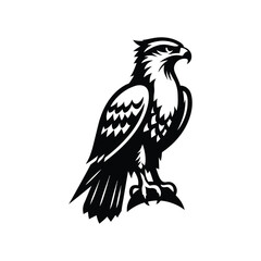 Hawk Animal black silhouette vector with white color background