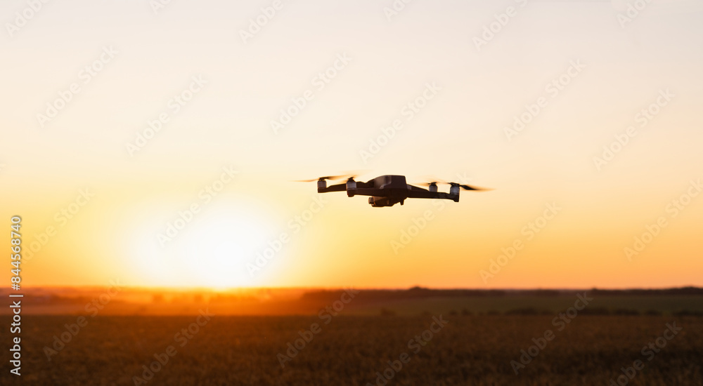 Aufkleber drone flies over a wheat field. smart farming and precision agriculture..