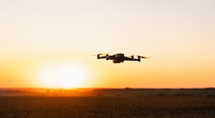 Drone flies over a wheat field. Smart farming and precision agriculture..